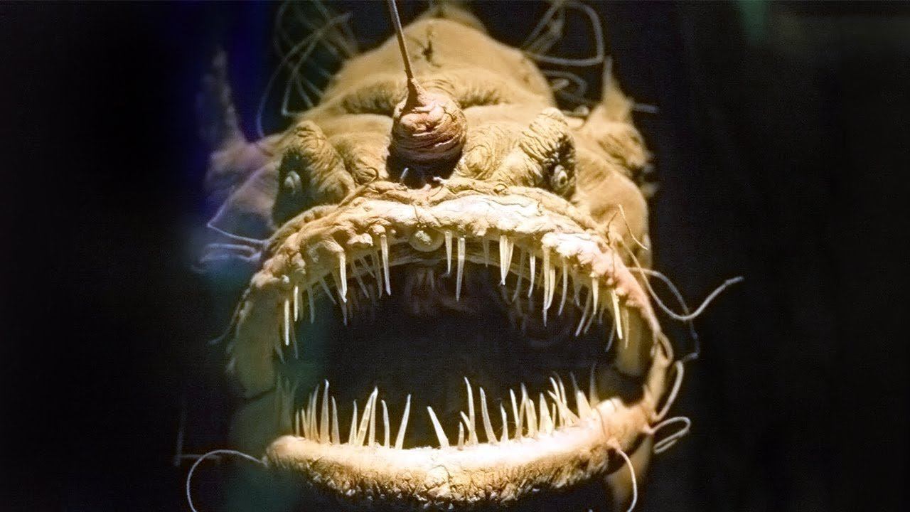 СОЖРЕТ И НЕ ПОДАВИТСЯ ► Lobotomy Corporation |8| Прохождение