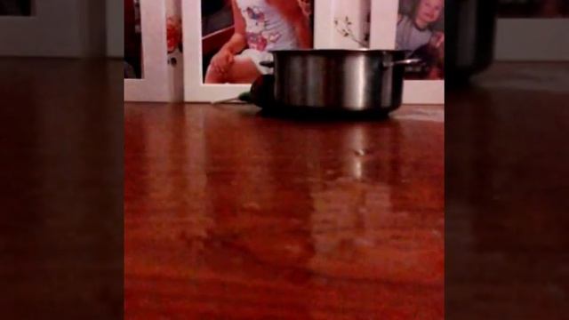 Как привести волосы куклы в порядок смотреть онлайн