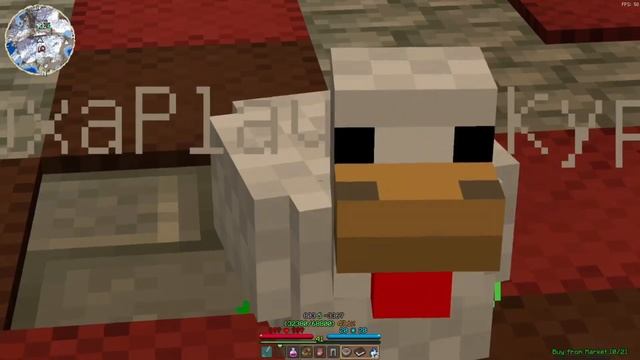 ➤ WynnCraft Guide ➤ Гайд(КАК ПОЛУЧИТЬ БЕСПЛАТНОГО ПИТОМЦА?)➤ Выживание на RPG сервере майнкрафт смотреть онлайн