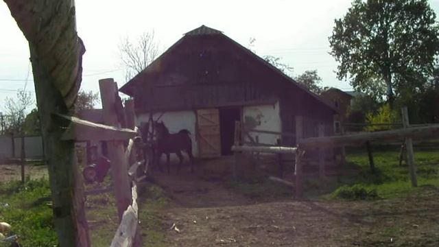 Жеребёнок в гостях у Интриги 2012г. смотреть онлайн