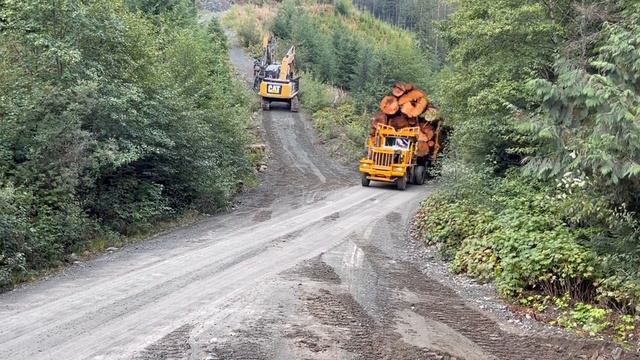 Тяжелый лесовоз с огромными брёвнами смотреть онлайн