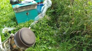 Дешёвый Сублиматор щавелевой кислоты | Обработка от клеща Варроа сублиматором