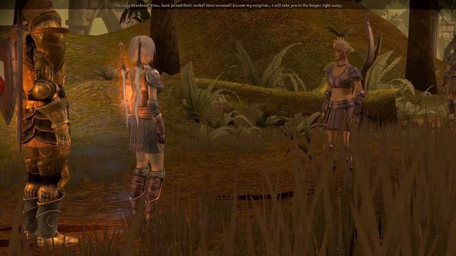 Dragon Age Origins - 19 - Curing Eamon | The Last Treaty смотреть онлайн