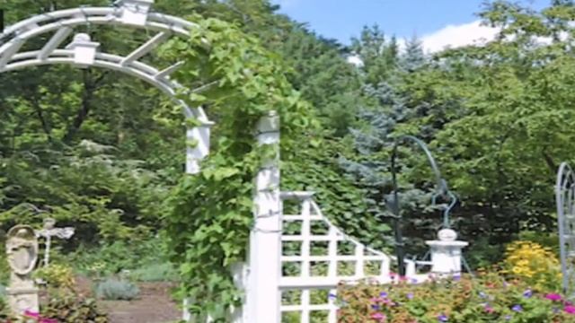 33 КРАСИВЫХ АРКИ В САДУ | GARDEN IDEAS 33 ARCHES смотреть онлайн
