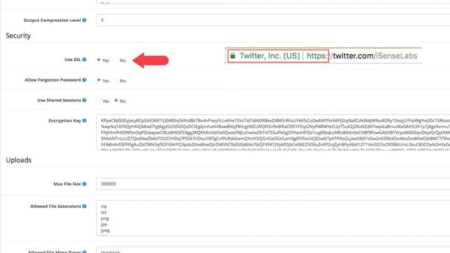 OpenCart 3.x System Settings Configuration PART 5 (Server) смотреть онлайн