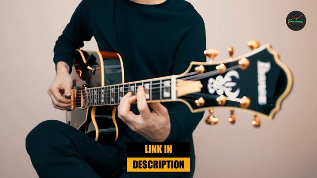 Archtop Guitar : Which are the Best Archtop Guitars in 2024? смотреть онлайн