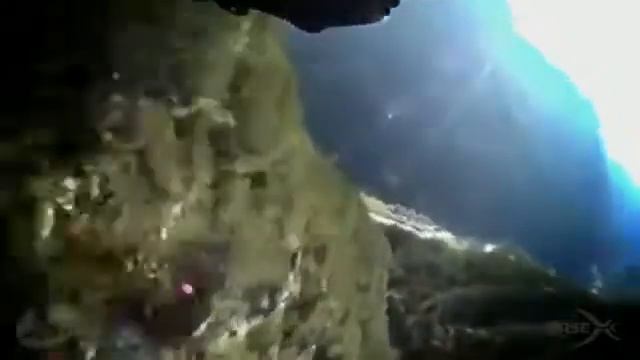 Экстрим и природа смотреть онлайн