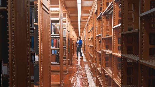 The Bookcase смотреть онлайн