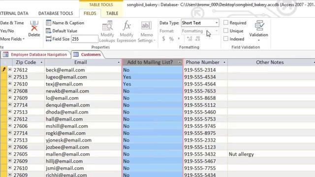 Tutorial 12 Microsoft Access 2013_ Mengubah Suai Table смотреть онлайн