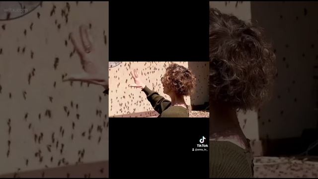 Симпсоны в очередной раз, предсказали будущее!