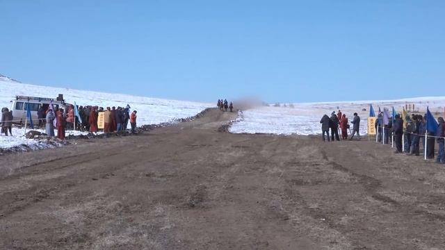 Традиционные конные скачки лошадей бурятской породы смотреть онлайн