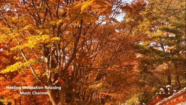 休憩音楽 - ちょっとひと息ついて休憩しませんか？ 癒し 音楽、リラックス 音楽、心が落ち着く曲、ストレス解消 音楽、イライラした時に聞く曲、緊張をほぐす音楽、昼休みに聴く音楽、脳の休息 смотреть онлайн