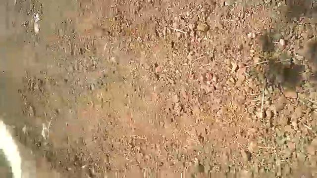 Dead people grave has been destroyed смотреть онлайн