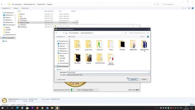 Как Установить, Настроить и Использовать Dogecoin Кошелек на Платформе Windows | Dogecoin Core смотреть онлайн