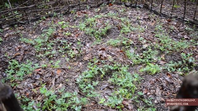Primitive Technology- Sweet potato patch смотреть онлайн