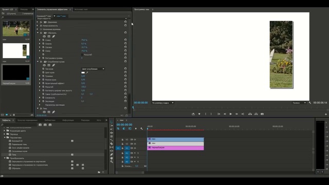'Вертикальные панели' - Стилизация видео в Adobe Premiere Pro CC. Урок смотреть онлайн