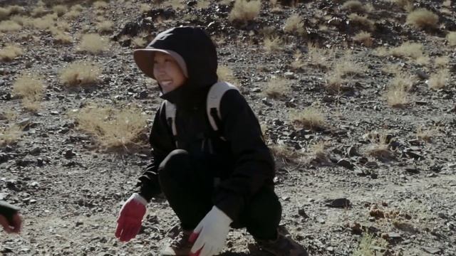 Tracing the Gobi Bear, One of the World's Rarest Animals смотреть онлайн