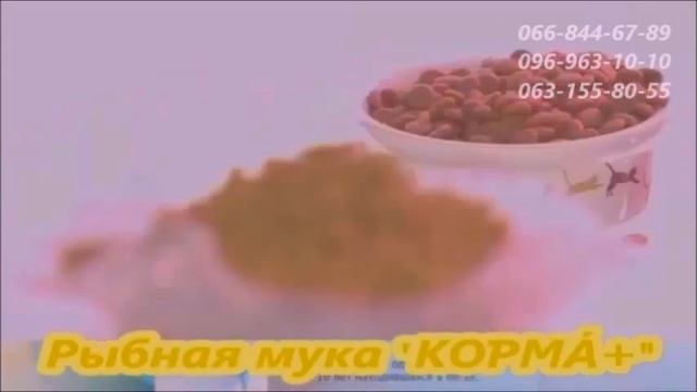 Рыбная мука компании КОРМА+ г. Бердянск смотреть онлайн