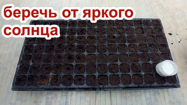 ЧТО ЖЕ ГЛАВНОЕ В ЧЕРЕНКОВАНИИ? смотреть онлайн
