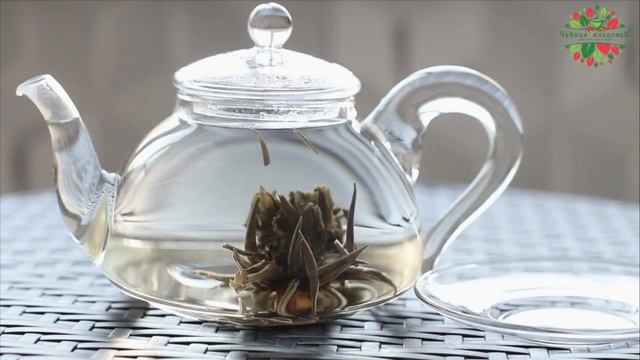 Связанный чай Огненный Дракон смотреть онлайн