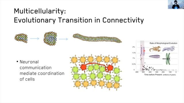 #1 DeepPavlov 3.0 смотреть онлайн