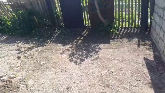 Закончил уборку возле бани , давайте посмотрим результат! Оренбург, СНТ "Сокол". смотреть онлайн