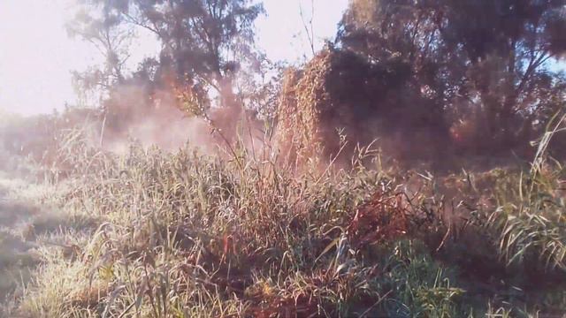 Рассвет. Украина, Запорожье смотреть онлайн