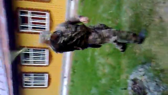 нун чаки.mp4 смотреть онлайн