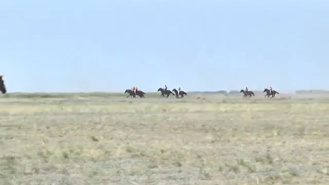 Тарановский район конно спортивные соревнования 06.08.2016г. смотреть онлайн