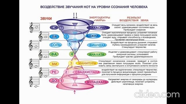 Компоненты и элементы энергоинформационной ноосферы полный текст озвучка 12 42 смотреть онлайн