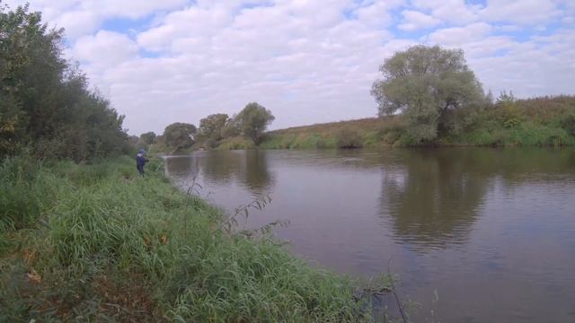 Дожили! Обловил дед с "крокодилами". Ловля на фидер на реке Жиздра смотреть онлайн