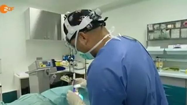 Бесшовная пластика ушей. Германия. смотреть онлайн