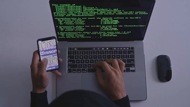 ПРОНИК В КОМАНДУ МОШЕННИКОВ! Скам мамонтов/ Способы мошенничества/ Мошенничество в интернете смотреть онлайн