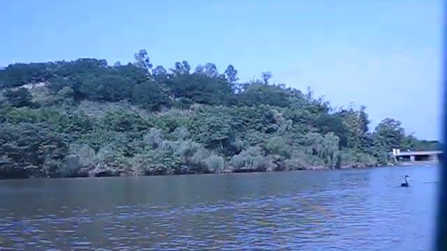 Китай на озере Chinese lake смотреть онлайн