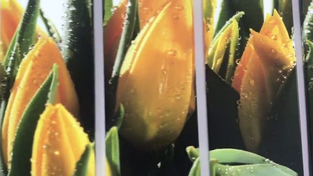 Модульная картина желтые тюльпаны смотреть онлайн