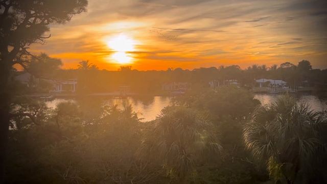 Is Your Heart & Soul Open To Messages From The Universe By Joy Garafola #ocean #sunrise смотреть онлайн