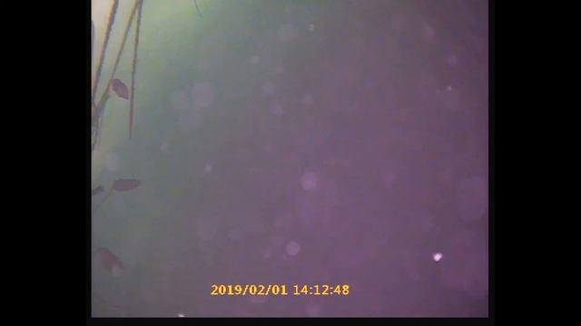 Подводная камера для зимней рыбалки с записью смотреть онлайн