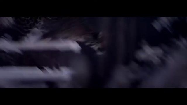 Whiskas Big Cat Small Cat (DE)