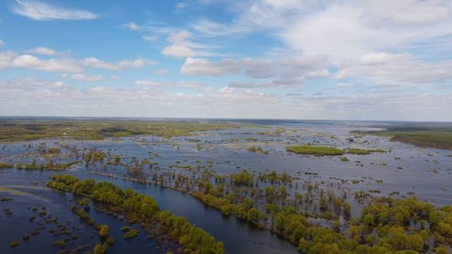 Новгород-Сіверський | Розлив Десни | Desna River flood | 4K смотреть онлайн