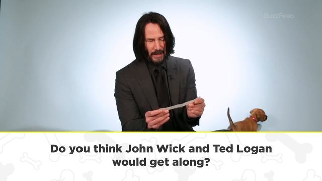 Keanu Reeves Plays With Puppies While Answering Fan Questions смотреть онлайн