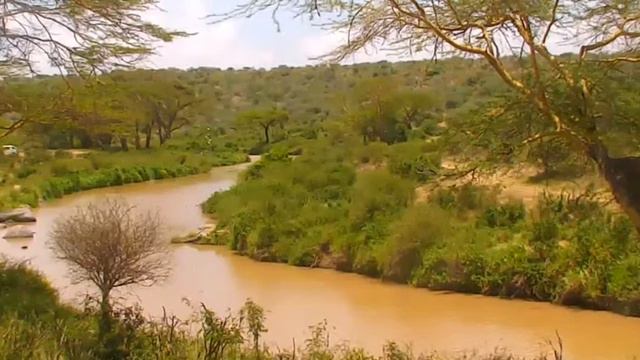 Река-River смотреть онлайн