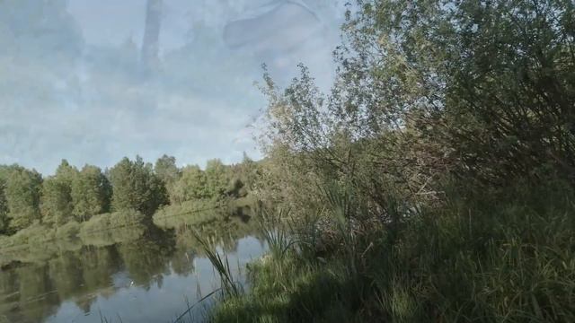 Лесное озеро. Карась. Ротан. смотреть онлайн