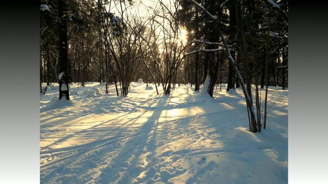 Романс на стихи В. Васильева "Люблю случайности судьбы". Автор музыки и исполнитель Людмила Карелин смотреть онлайн