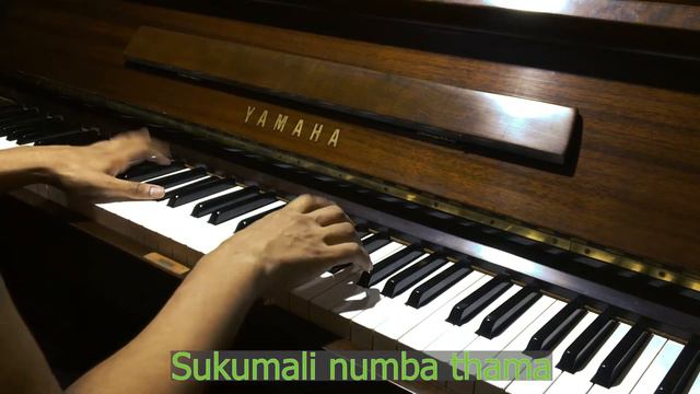 Manike Mage Hithe - Yohani & Satheeshan - Piano Cover by Madushan Fonseka смотреть онлайн