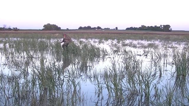 Waterfowl Hunting Mashup By George L. Weber Jr. смотреть онлайн