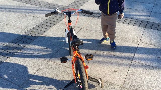 Обзор детского велосипеда Royal Baby Freestyle Space №1 Alloy 16