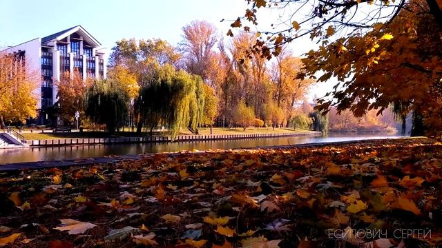 Минск таймлапс Minsk timelapse смотреть онлайн
