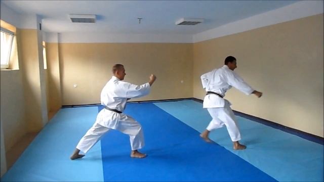Taikyoku Shodan Bunkai