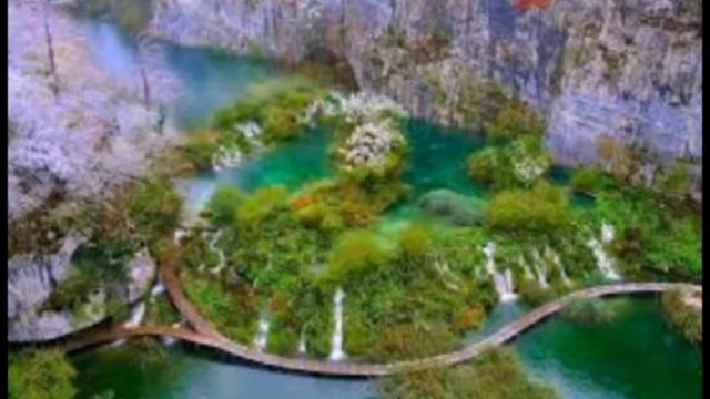 O'zbekcha Nashidalar To'plami 4