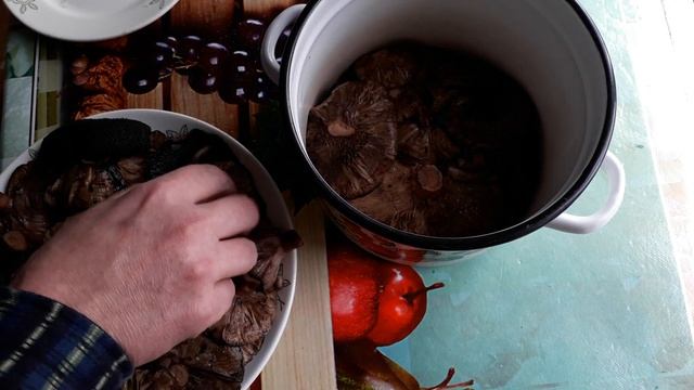 Черный груздь. Засолка на зиму. смотреть онлайн